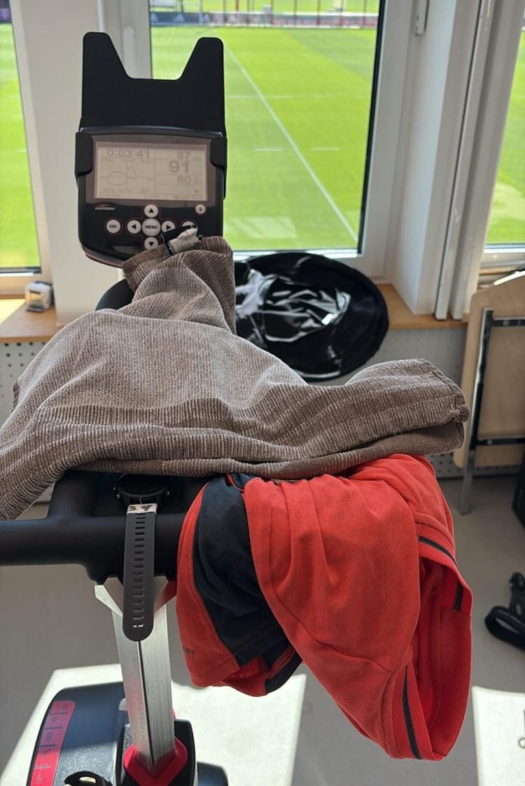 国队征战欧, 预计将伤缺